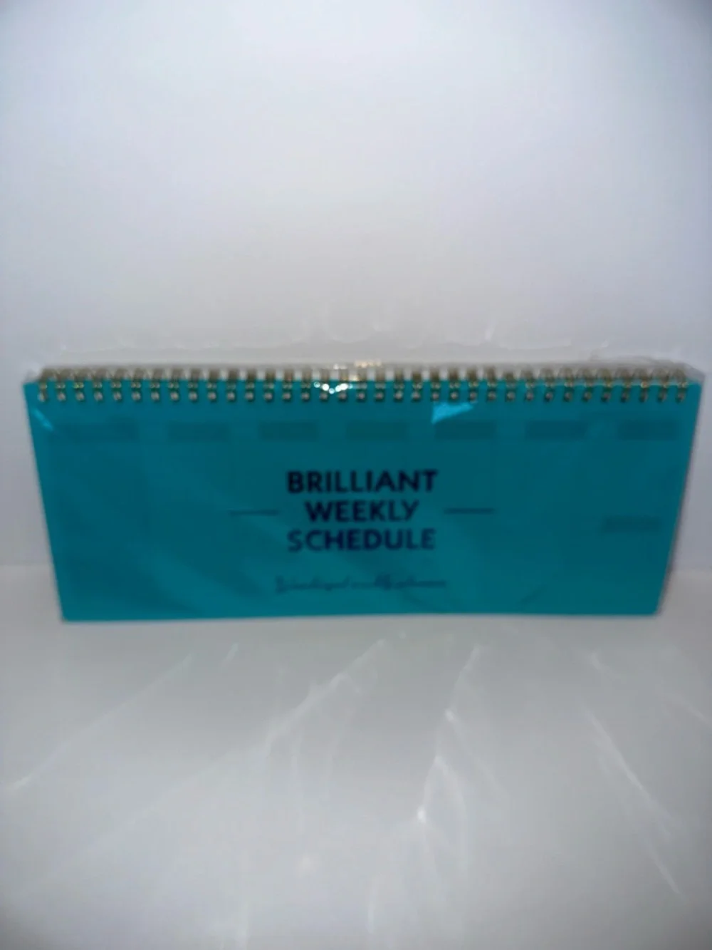Source Unknown Turquoise Blue Brilliant Weekly Schedule Desk Calendar